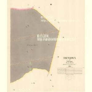 Trnowa - c7977-1-003 - Kaiserpflichtexemplar der Landkarten des stabilen Katasters