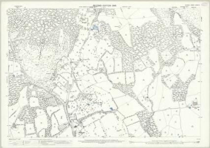Surrey XXXIX.4 (includes: Ewhurst) - 25 Inch Map
