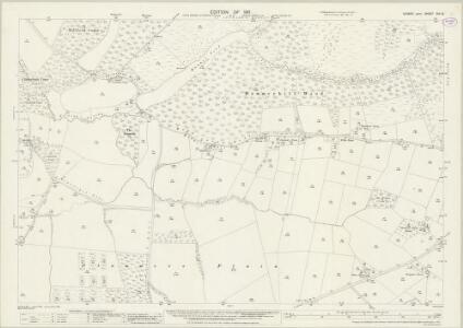 Sussex XIV.14 (includes: Lower Beeding) - 25 Inch Map