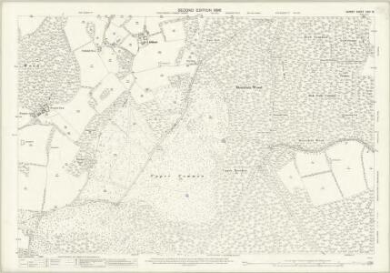 Surrey XXIV.16 (includes: Abinger; East Horsley; Shere; West Horsley) - 25 Inch Map