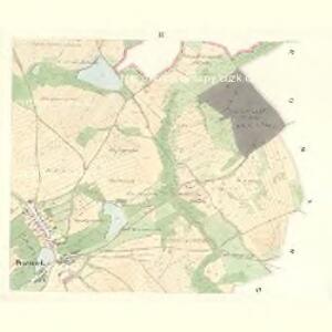 Prisnek (Prziseka) - m2471-1-003 - Kaiserpflichtexemplar der Landkarten des stabilen Katasters