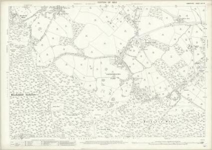 Hampshire and Isle of Wight LXIV.10 (includes: Copythorne; Denny Lodge; Netley Marsh) - 25 Inch Map