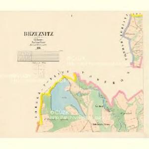 Břzeznitz - c0589-1-001 - Kaiserpflichtexemplar der Landkarten des stabilen Katasters