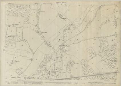 Hampshire and Isle of Wight XIX.1 (includes: Basing) - 25 Inch Map