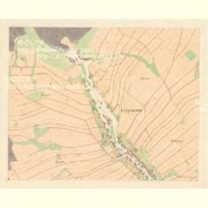 Lippowetz - m1576-1-004 - Kaiserpflichtexemplar der Landkarten des stabilen Katasters