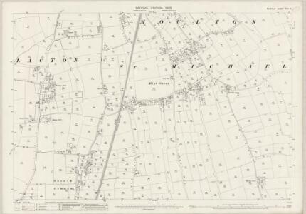 Norfolk XCVI.12 (includes: Aslacton; Moulton St Michael) - 25 Inch Map