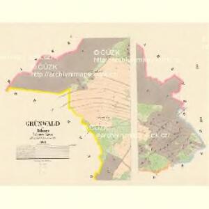 Grünwald - c3589-1-001 - Kaiserpflichtexemplar der Landkarten des stabilen Katasters