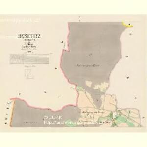 Benetitz (Benetice) - c0119-1-002 - Kaiserpflichtexemplar der Landkarten des stabilen Katasters