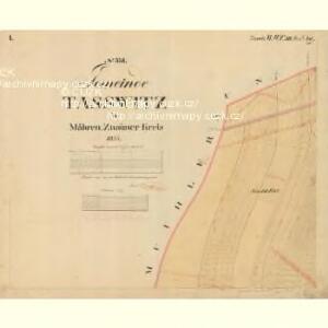 Tasswitz - m3084-1-001 - Kaiserpflichtexemplar der Landkarten des stabilen Katasters