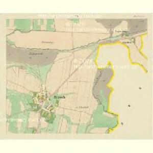 Brzech - c0549-1-005 - Kaiserpflichtexemplar der Landkarten des stabilen Katasters