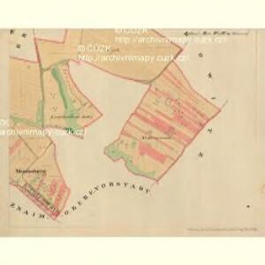 Mannsberg - m3608-1-004 - Kaiserpflichtexemplar der Landkarten des stabilen Katasters