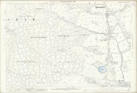 Hampshire and Isle of Wight LXIII.4 (includes: Bramshaw) - 25 Inch Map