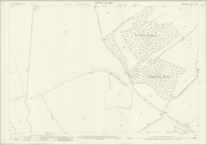 Hampshire and Isle of Wight XVII.7 (includes: Kingsclere; Overton) - 25 Inch Map