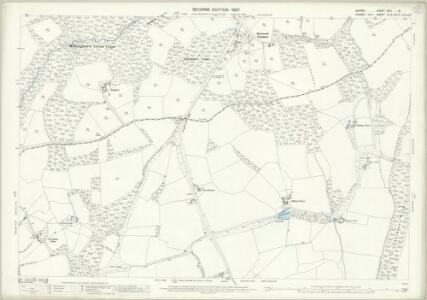 Surrey XLV.10 (includes: Chiddingfold; Lurgashall; North Chapel) - 25 Inch Map