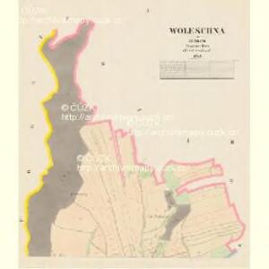 Woleschna - c5434-1-001 - Kaiserpflichtexemplar der Landkarten des stabilen Katasters