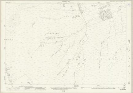 Northumberland (New Series) CV.14 (includes: Allendale Common; Allendale; West Allen) - 25 Inch Map