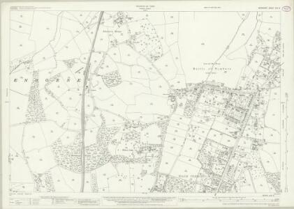 Berkshire XLII.8 (includes: Enborne; Greenham; Newbury) - 25 Inch Map