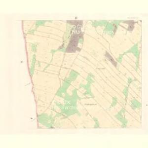 Schwannsdorf (Swatanowice) - m2971-1-003 - Kaiserpflichtexemplar der Landkarten des stabilen Katasters