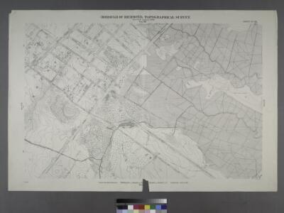 Borough of Richmond, Topographical Survey.