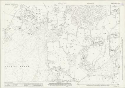 Surrey XXVI.5 (includes: Betchworth; Headley; Walton on The Hill) - 25 Inch Map