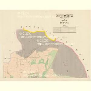 Nettonitz (Nettonice) - c5075-1-001 - Kaiserpflichtexemplar der Landkarten des stabilen Katasters