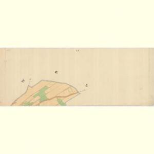 Buchen - c0649-1-009 - Kaiserpflichtexemplar der Landkarten des stabilen Katasters