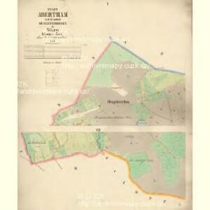 Abertham - c0001-1-001 - Kaiserpflichtexemplar der Landkarten des stabilen Katasters