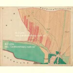 Tracht - m2893-1-001 - Kaiserpflichtexemplar der Landkarten des stabilen Katasters