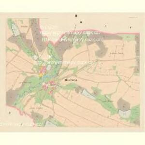 Riedweis - c6495-1-003 - Kaiserpflichtexemplar der Landkarten des stabilen Katasters