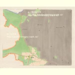 Wieschin - c8544-1-001 - Kaiserpflichtexemplar der Landkarten des stabilen Katasters