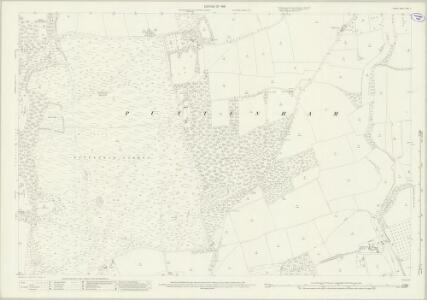 Surrey XXXI.5 (includes: Puttenham) - 25 Inch Map