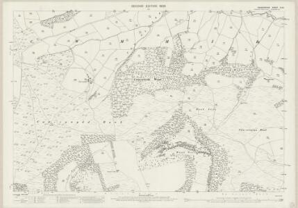 Radnorshire IX.13 (includes: Abaty Cwm Hir) - 25 Inch Map
