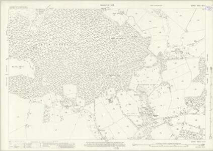 Surrey XVII.12 (includes: Cobham; Ockham) - 25 Inch Map