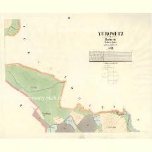 Turowetz - c8123-1-002 - Kaiserpflichtexemplar der Landkarten des stabilen Katasters