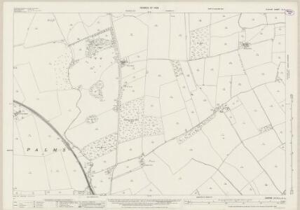 Durham LV.8 (includes: Long Newton; Low Dinsdale; Middleton St George; Morton Palms; Sadberge) - 25 Inch Map