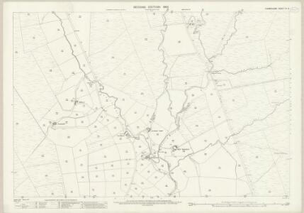 Cumberland III.8 (includes: Bewcastle) - 25 Inch Map