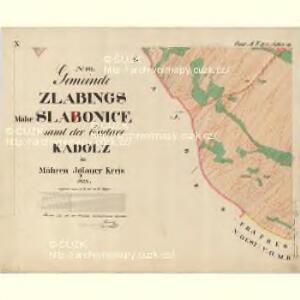 Zlabings - m2780-1-015 - Kaiserpflichtexemplar der Landkarten des stabilen Katasters