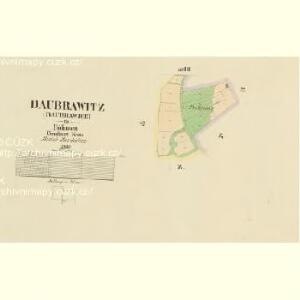 Daubrawitz - c1466-1-003 - Kaiserpflichtexemplar der Landkarten des stabilen Katasters