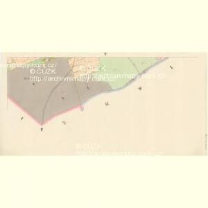 Petrowitz (Petrowice) - c5740-1-004 - Kaiserpflichtexemplar der Landkarten des stabilen Katasters