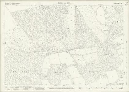 Surrey XXIV.15 (includes: Albury; East Clandon; Shere; West Clandon; West Horsley) - 25 Inch Map