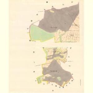 Wellikowa - m3301-1-001 - Kaiserpflichtexemplar der Landkarten des stabilen Katasters
