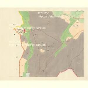 Protiwanow - m2430-1-006 - Kaiserpflichtexemplar der Landkarten des stabilen Katasters