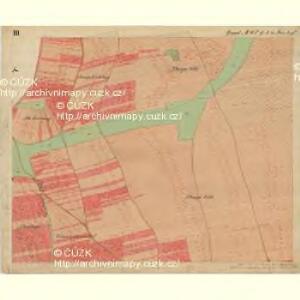 Unter Tanowitz - m0491-1-003 - Kaiserpflichtexemplar der Landkarten des stabilen Katasters