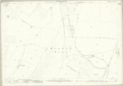Sussex L.11 (includes: Burpham; Parham) - 25 Inch Map