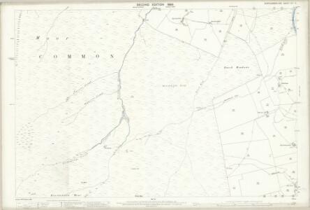 Northumberland (Old Series) CVII.10 (includes: Allendale Common; Allendale) - 25 Inch Map