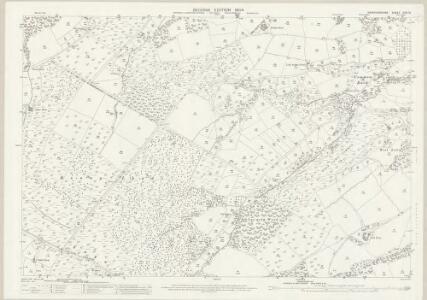 Herefordshire XXXI.15 (includes: Llangernyw; Michaelchurch Escley; Peterchurch) - 25 Inch Map