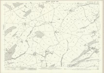Montgomeryshire XXXVI.14 (includes: Aberhafesb; Llanllwchaearn; Newtown) - 25 Inch Map