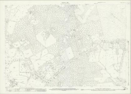 Surrey X.10 (includes: Chobham; Windlesham) - 25 Inch Map