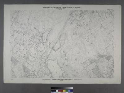 Sheet No. 33. [Includes Concord, Grasmere, Fort Wadsworth and Rose Bank.]; Borough of Richmond, Topographical Survey.
