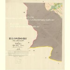Blosdorf (Mladiegow) - m1829-1-004 - Kaiserpflichtexemplar der Landkarten des stabilen Katasters